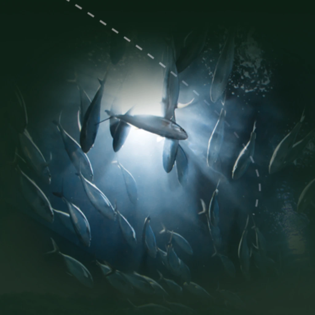 Join us at Terpene Journey for an exclusive event with Mederi, as they take us on an inspiring journey, sharing their story and showcasing their premium range of cannabis products. It's a unique opportunity to connect, discover, and immerse yourself in the world of sustainable, high-quality cannabis.