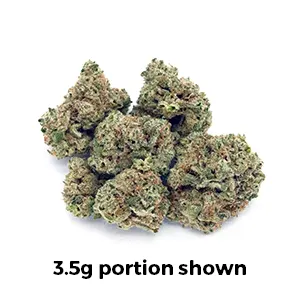 Neon Grove | 1/2 oz.