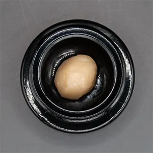 Purple Lambo + GG4 BX8 | Live Hash Rosin | 1g