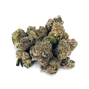Mega Mind | Mini-Buds | 1/8 oz. | Therapy