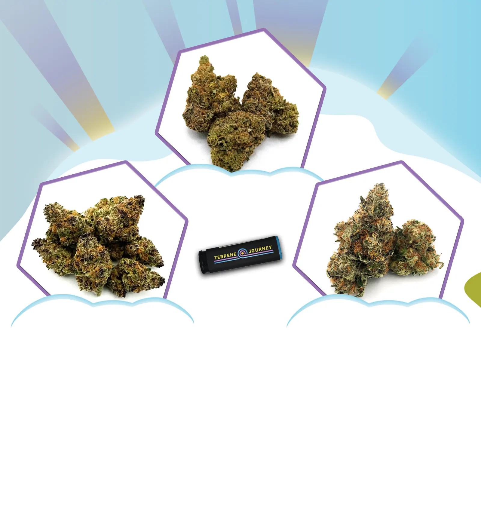 4/20 Thaw: Be Sleepy Flower