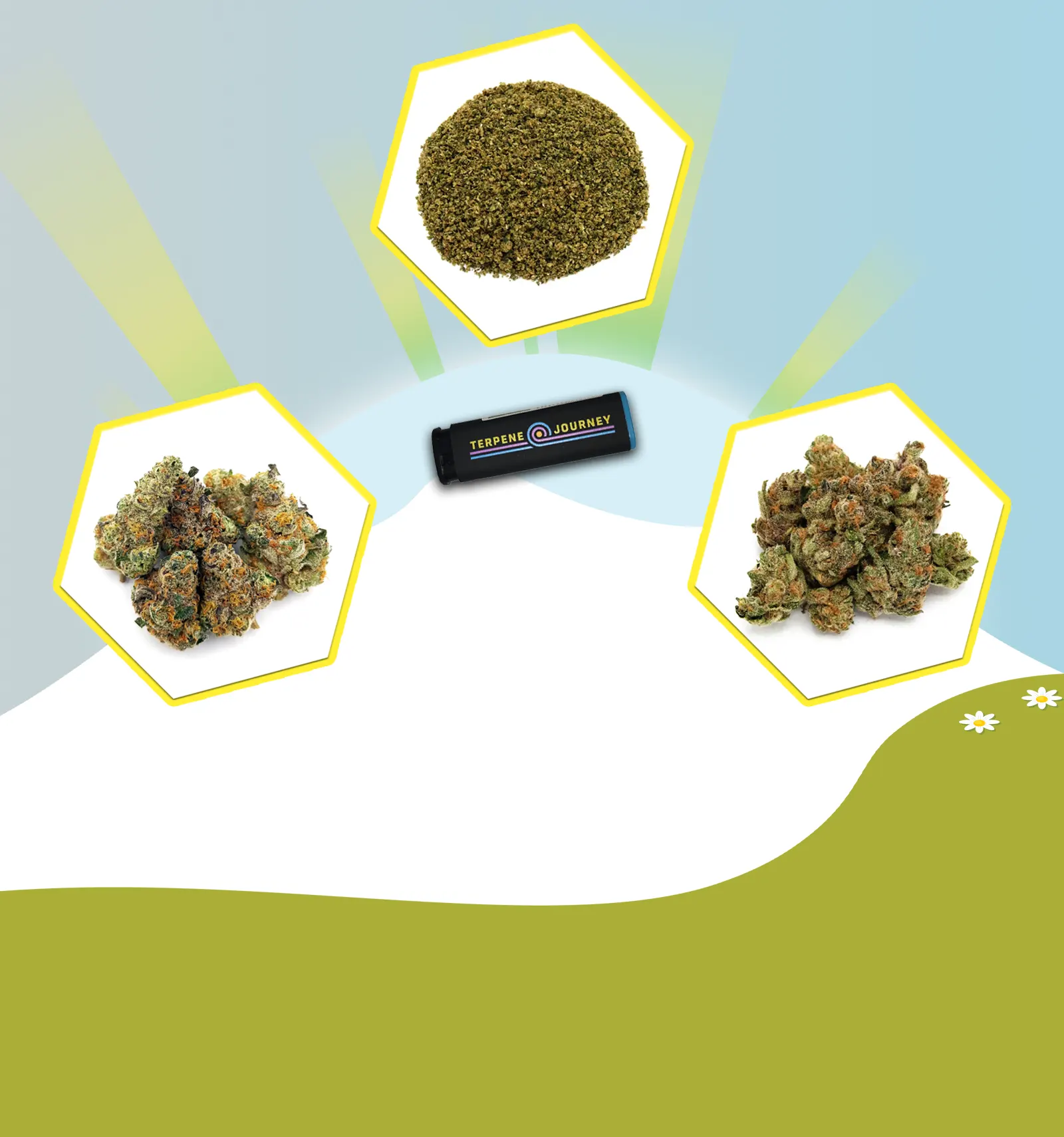 4/20 Thaw: Be Creative Flower