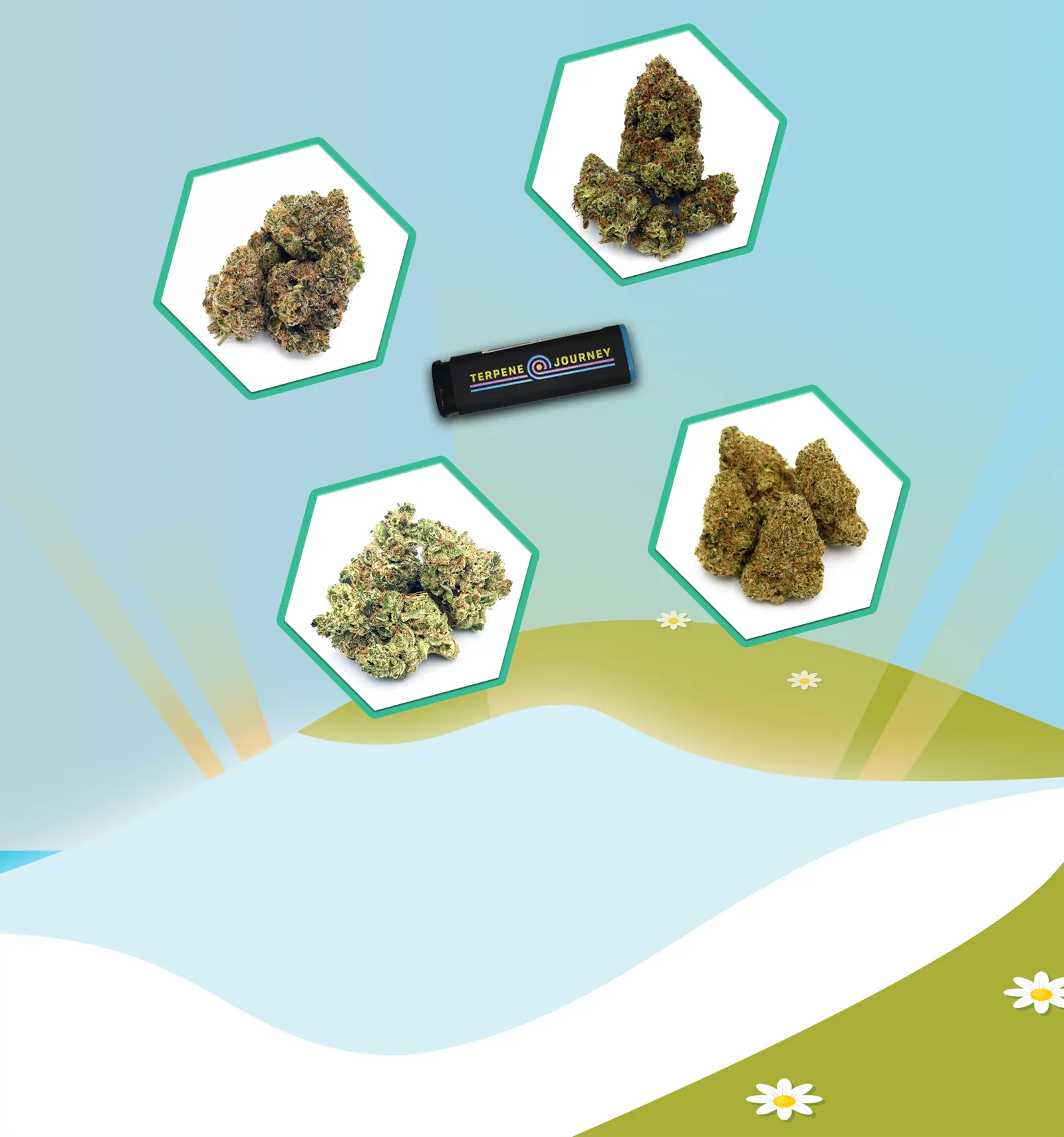 4/20 Thaw: Be Productive Flower