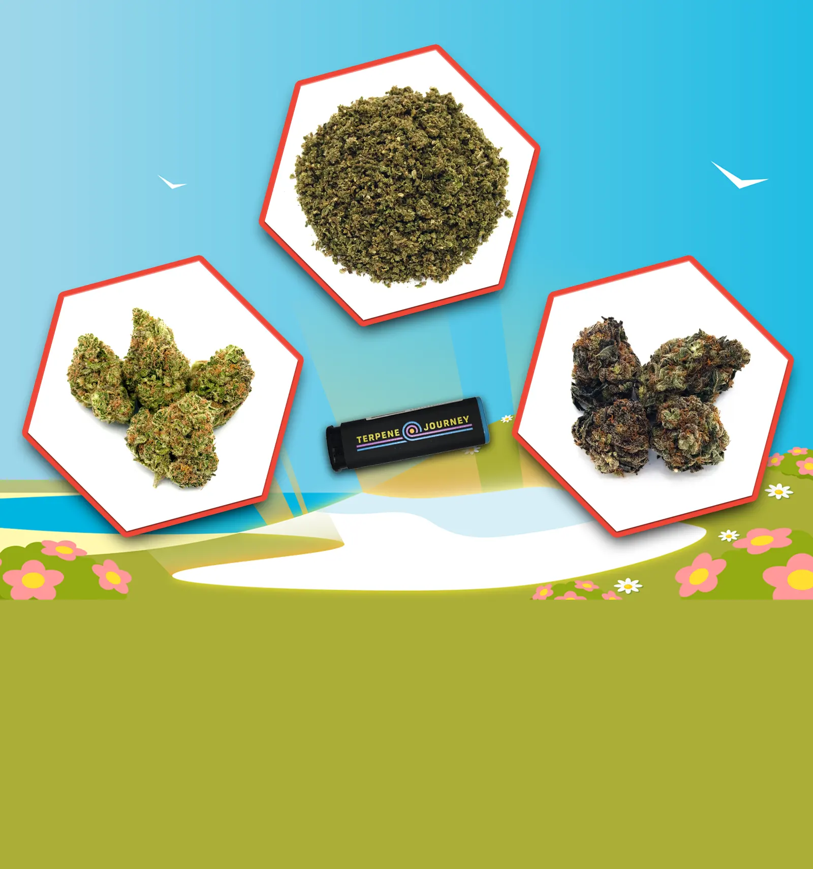 4/20 Thaw: Be Active Flower