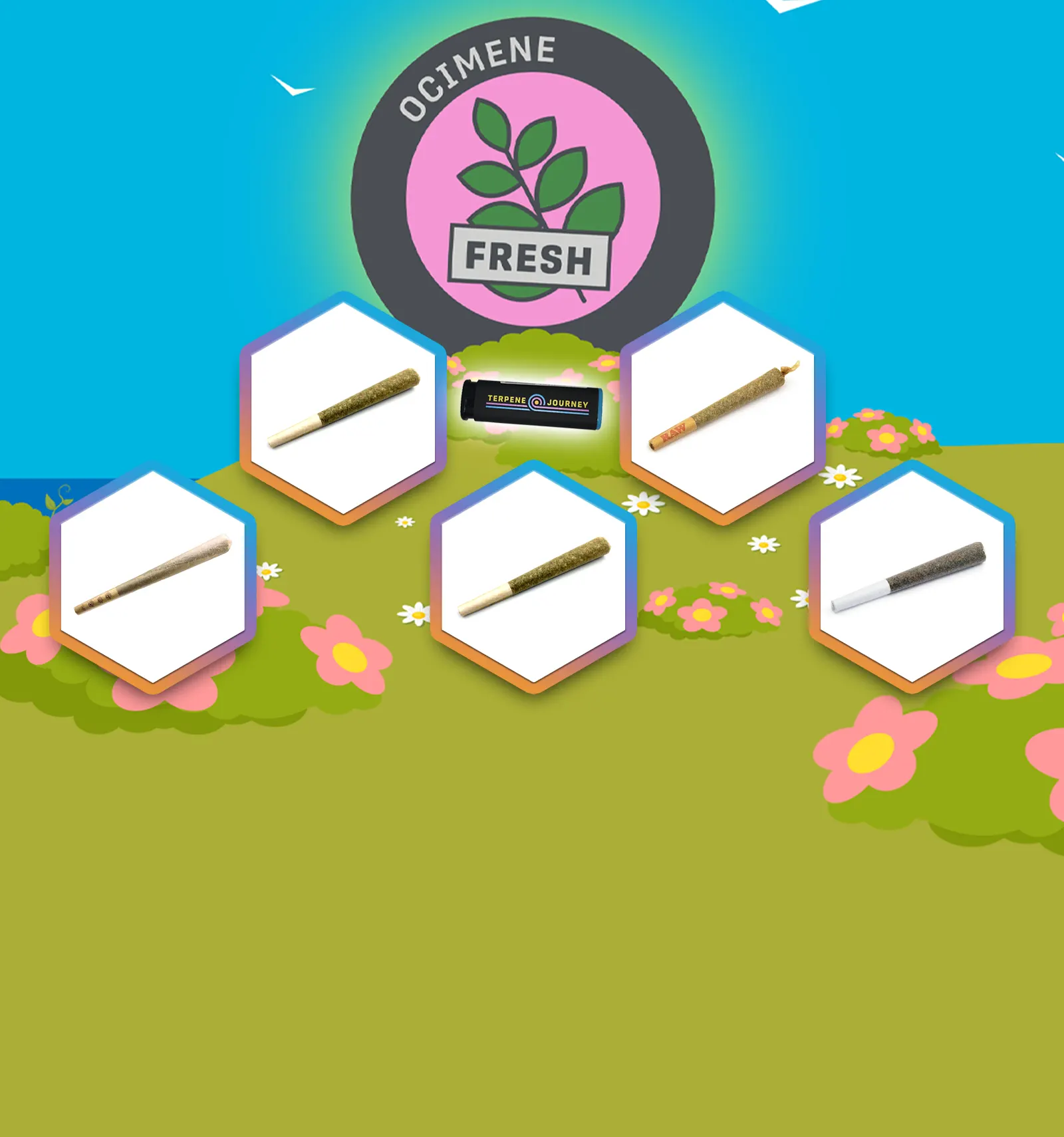 Rare Terps: Ocimene Pre-Rolls