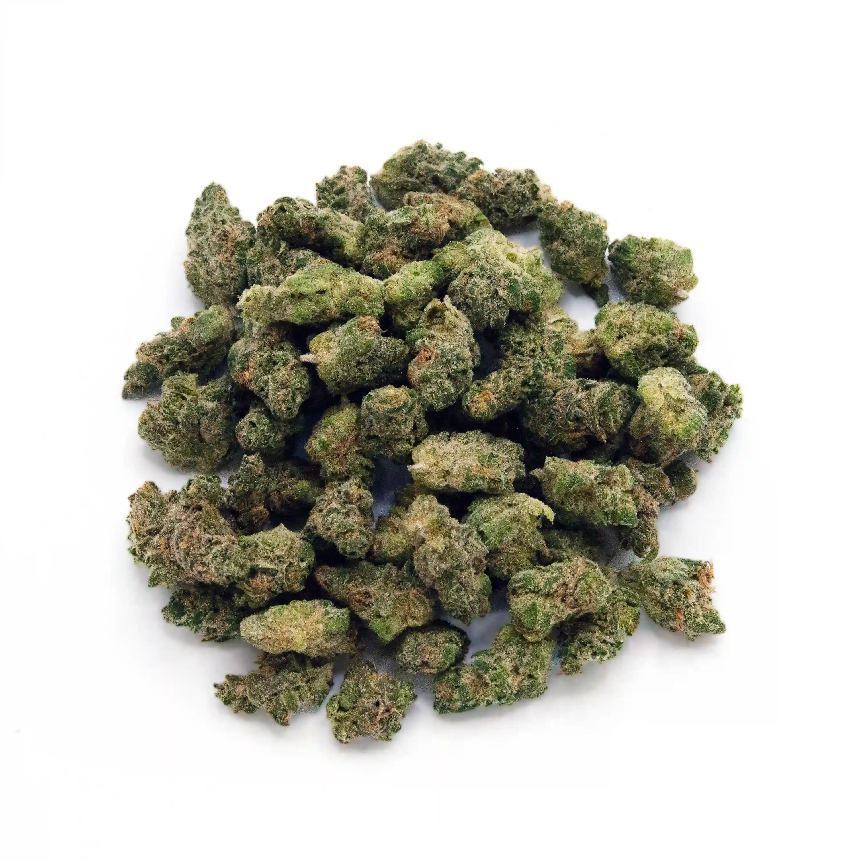 Hawaiian Dream | Mini-Buds | 1/4 oz.