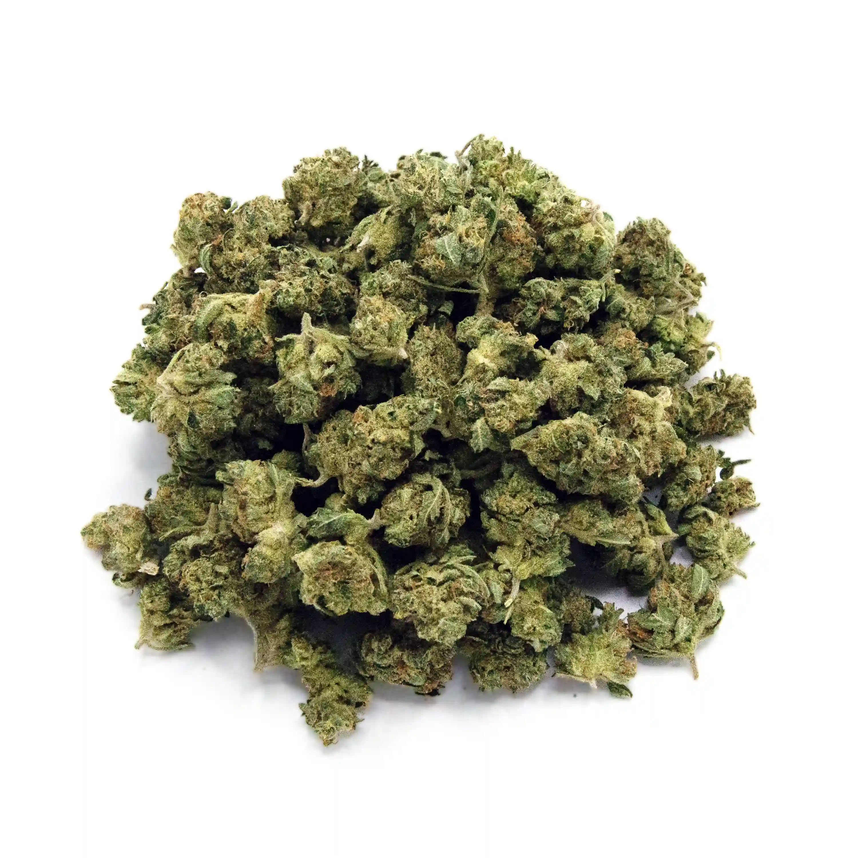 Dirty Taxi | Mini-Buds | 1 oz.