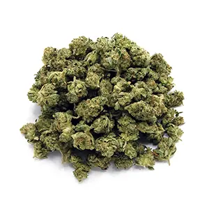 Dirty Taxi | Mini-Buds | 1 oz.