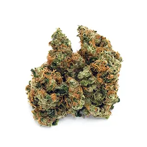 Jack The Ripper | Mini-Buds | 1/8oz.