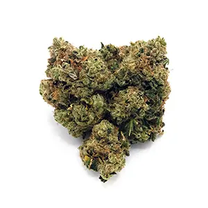 Florida Freeze | 1/8 oz.