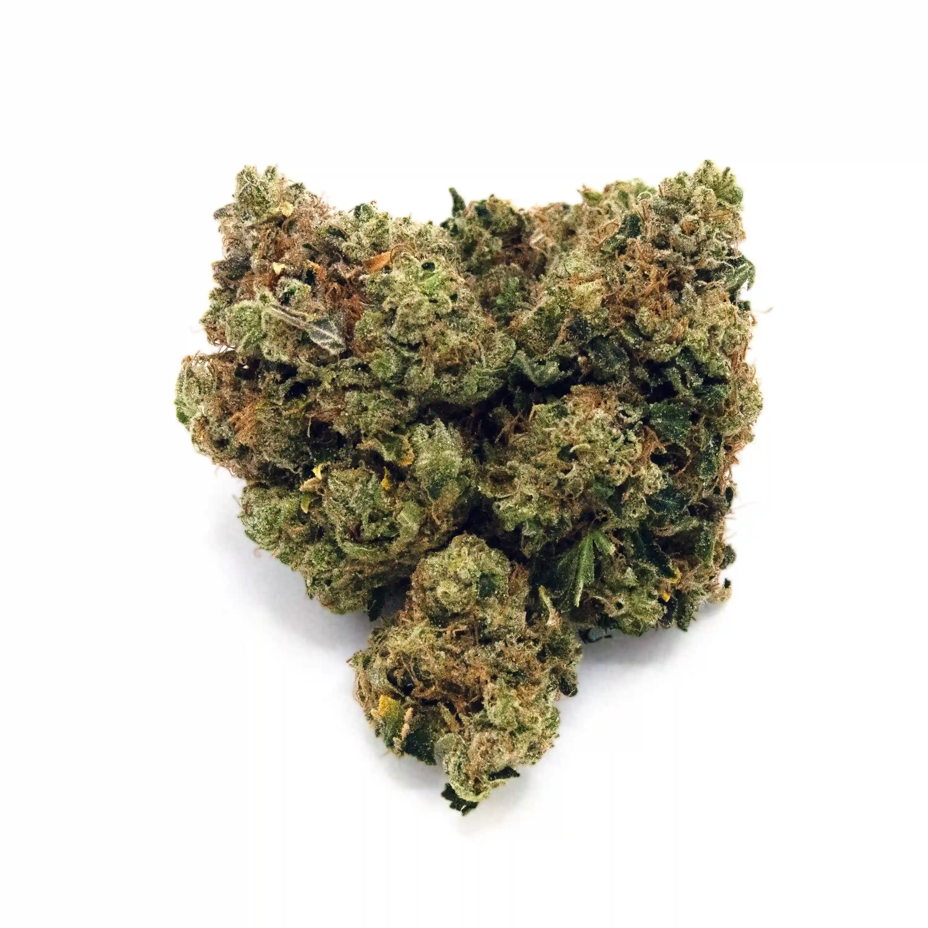 Florida Freeze | 1/8 oz.