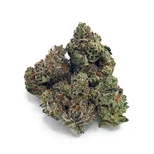 Purple Lambo | 1/8 oz.