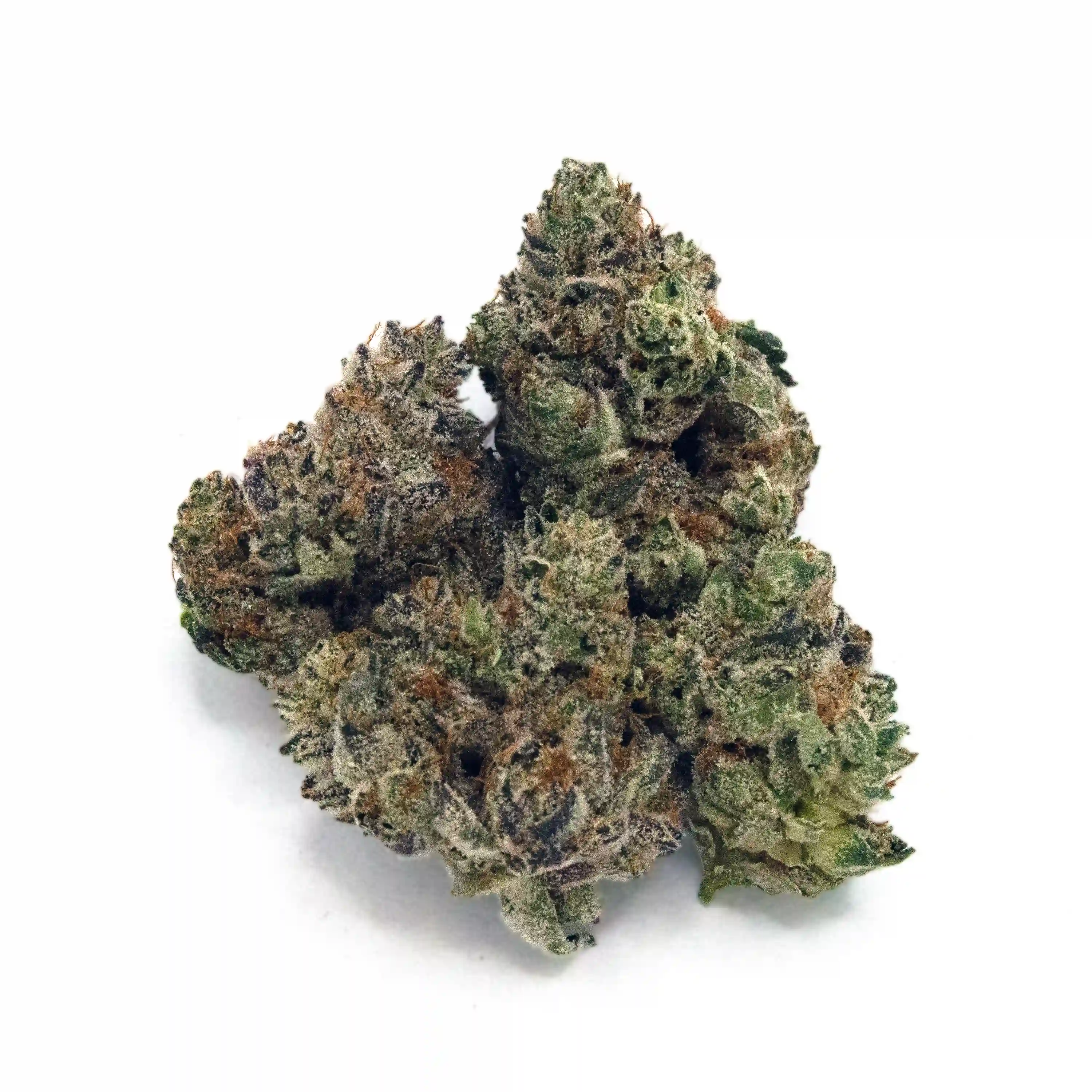 Purple Lambo | 1/8 oz.