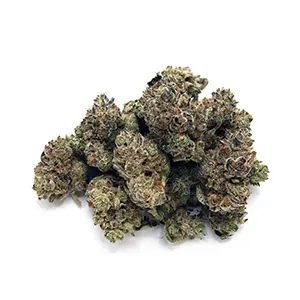 Purple Lambo | Mini-Buds | 1/2 oz.