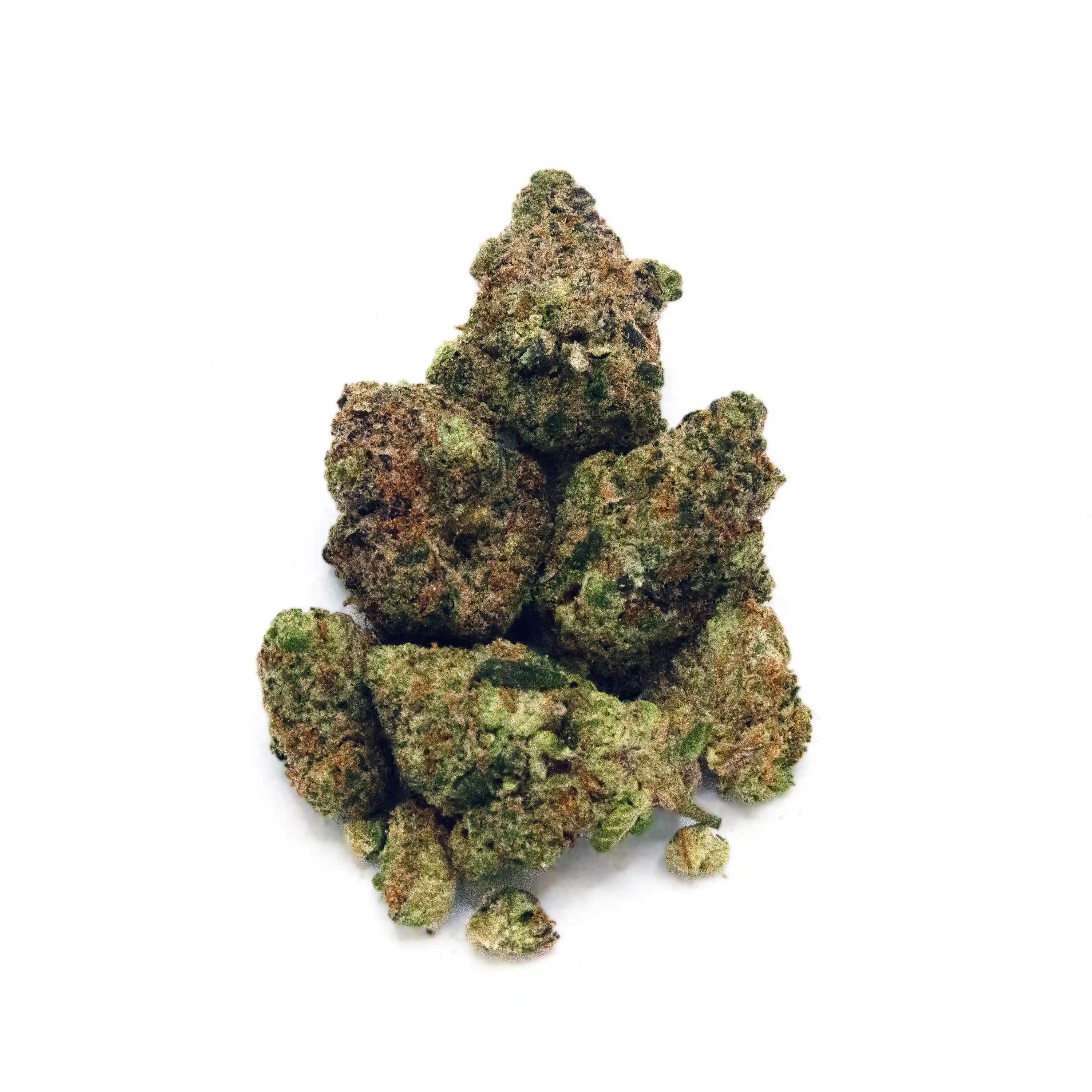 Black Raspberry | Mini-Buds | 1/8 oz.