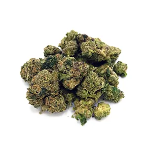 Jokerz 31 | Mini-Buds | 1/8 oz.