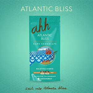 Atlantic Bliss Dark Chocolate | CBD 2:1 | 20pk