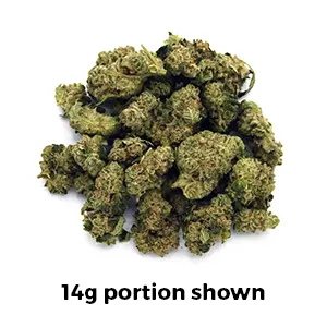 Meat Glue | Mini-Buds | 1/4 oz.