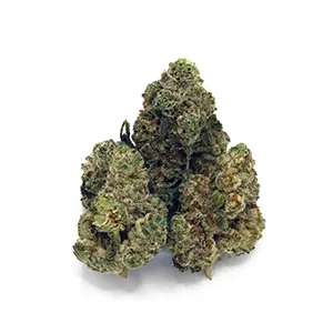 Meat Glue | 1/8 oz.
