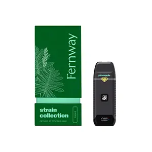 Pineapple Express | Traveler Pro | 1g