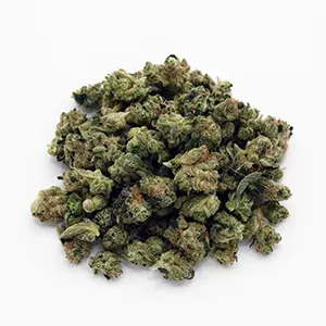 Sour Diesel | 1/8 oz. | Therapy