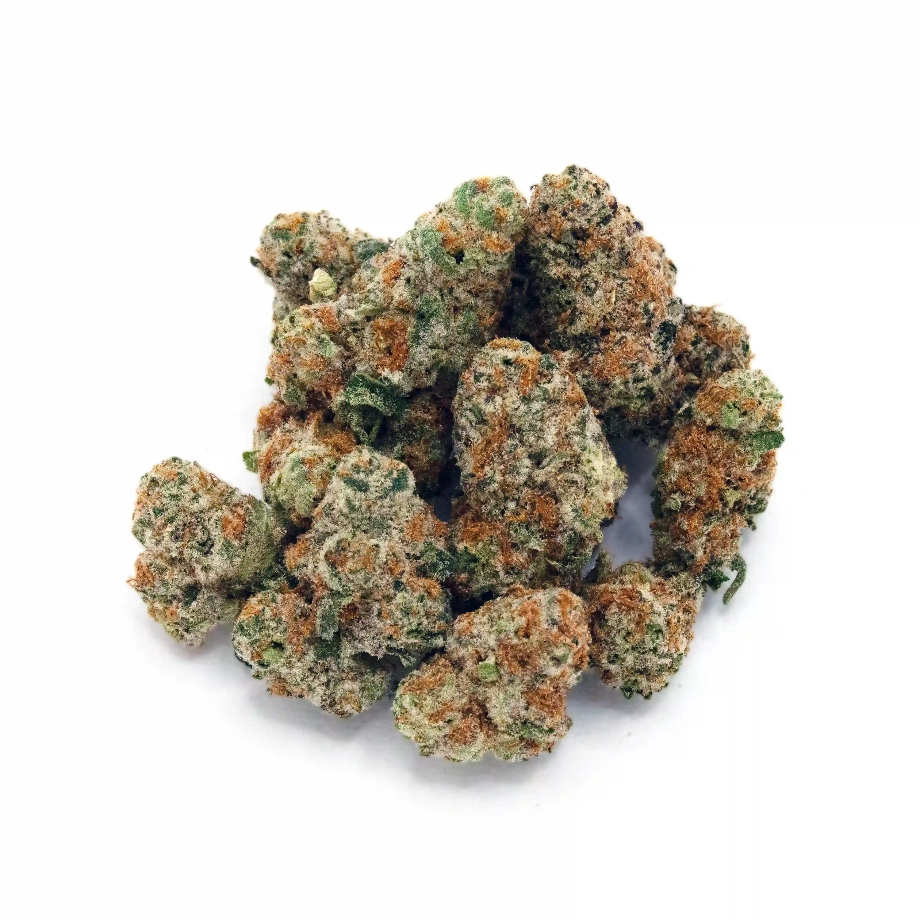Astronaut Status #24 | 1/8 oz.