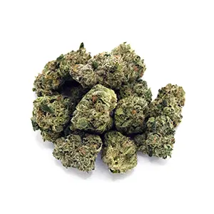 Zeclair | 1/8 oz. Harbor House