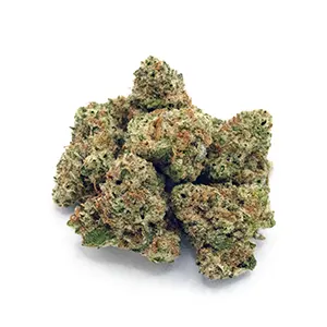 Sweet Tree | 1/8 oz.