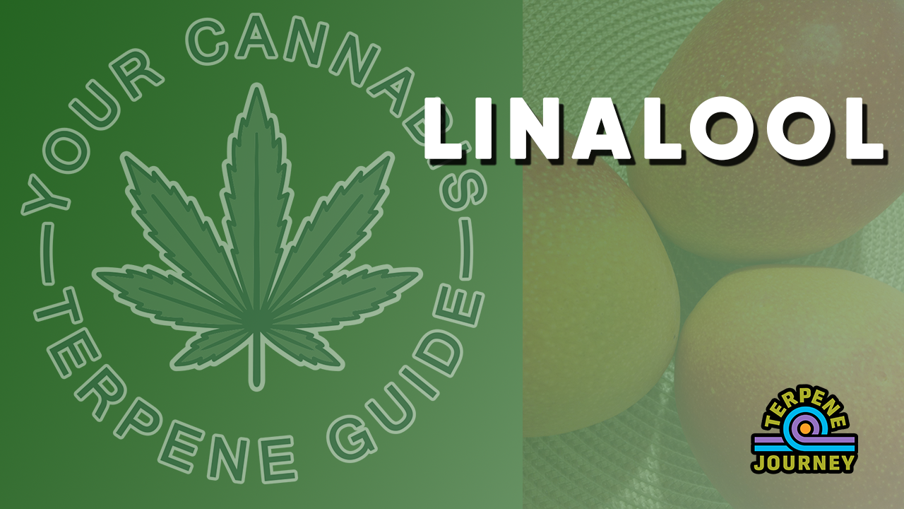 YCTG - Linalool
