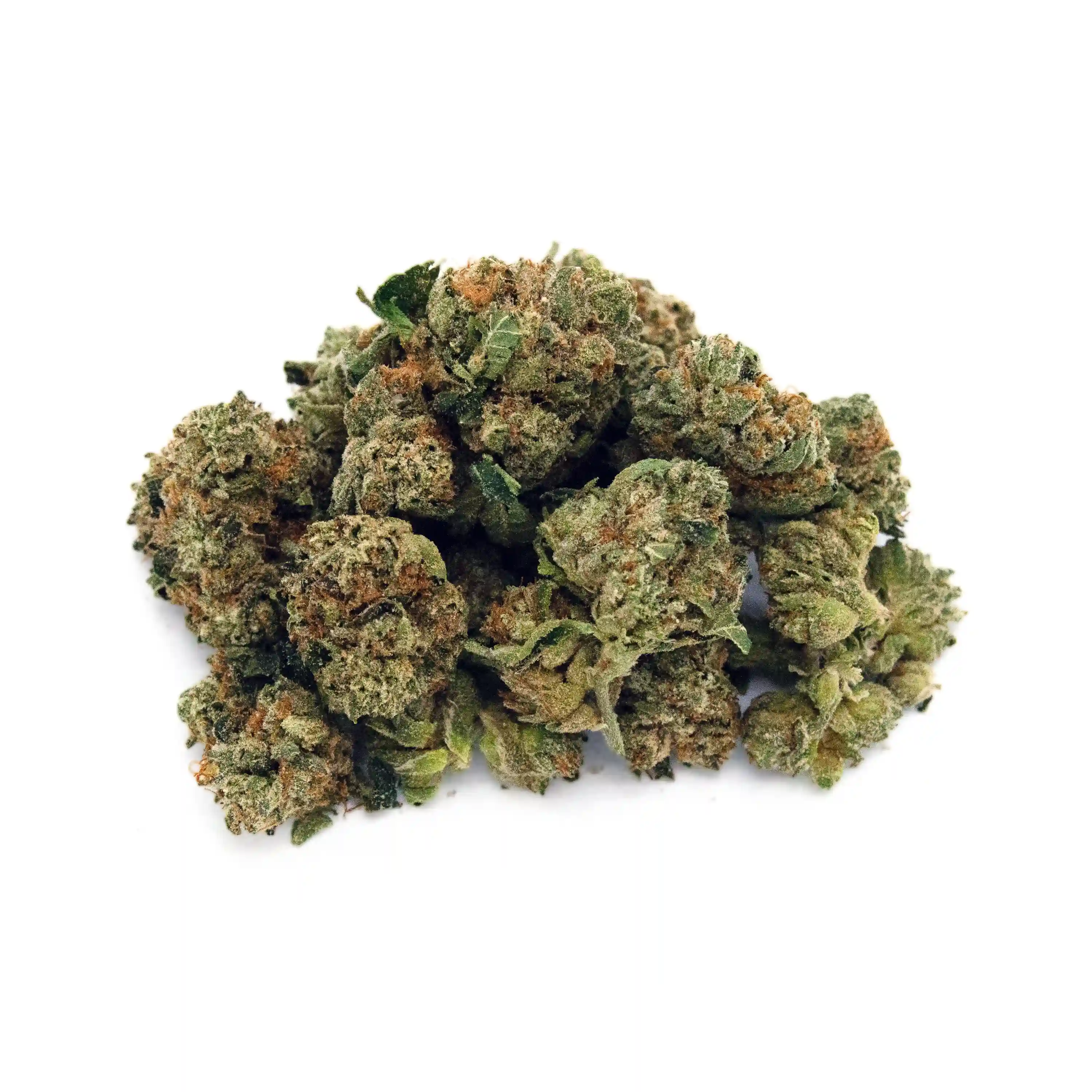 Oaksterdam OG | Mini-Buds | 1/8 oz.