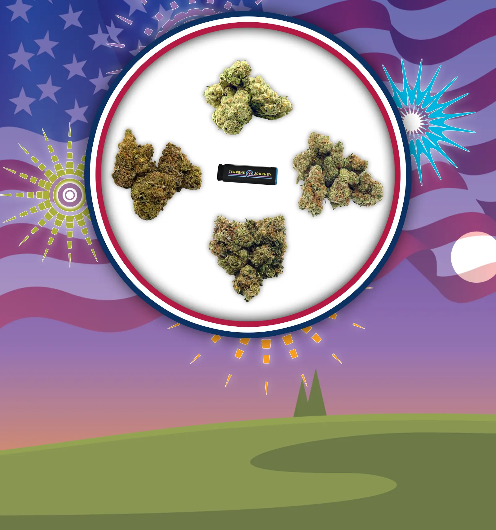 4th of July Flower