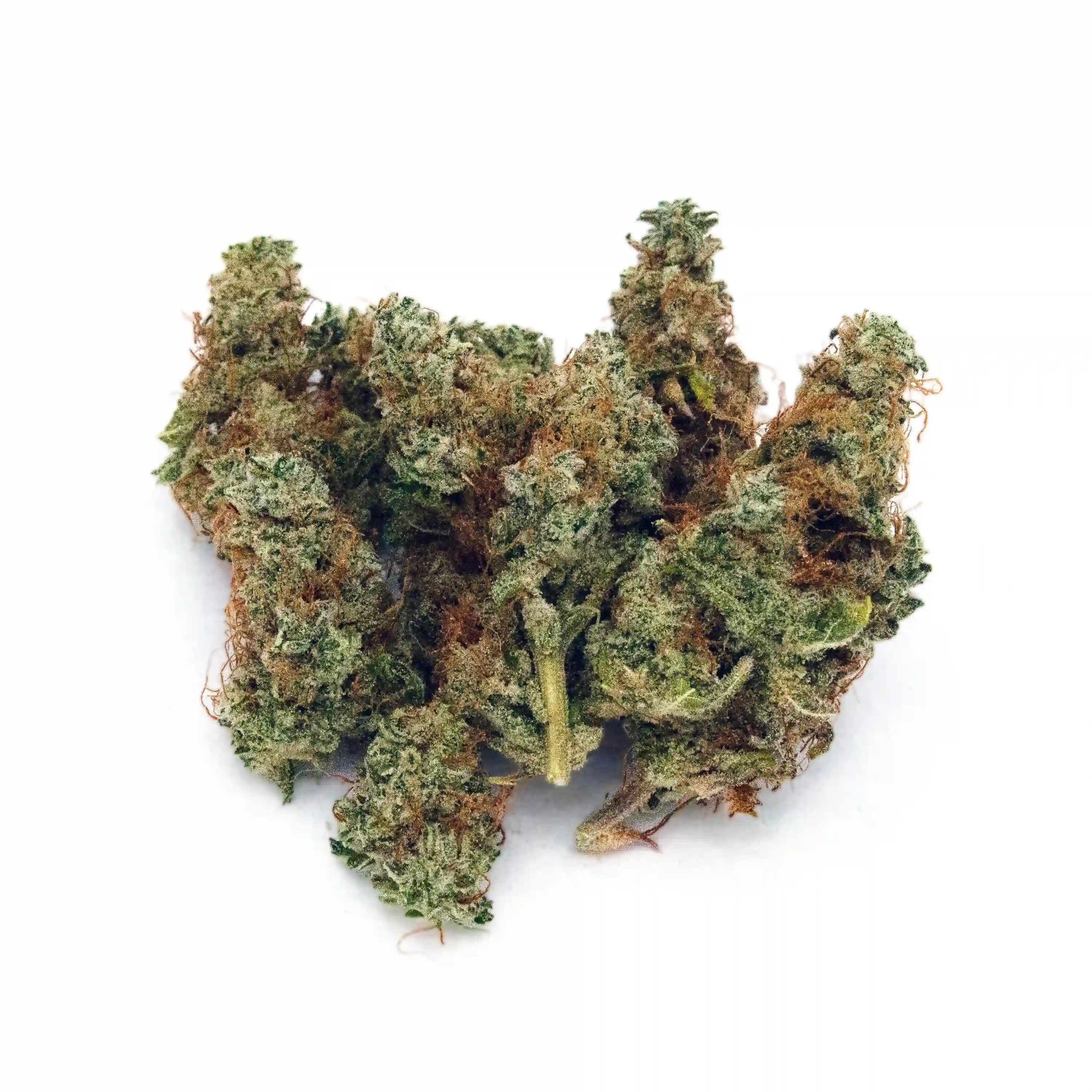 FrankenPine | 1/8 oz.