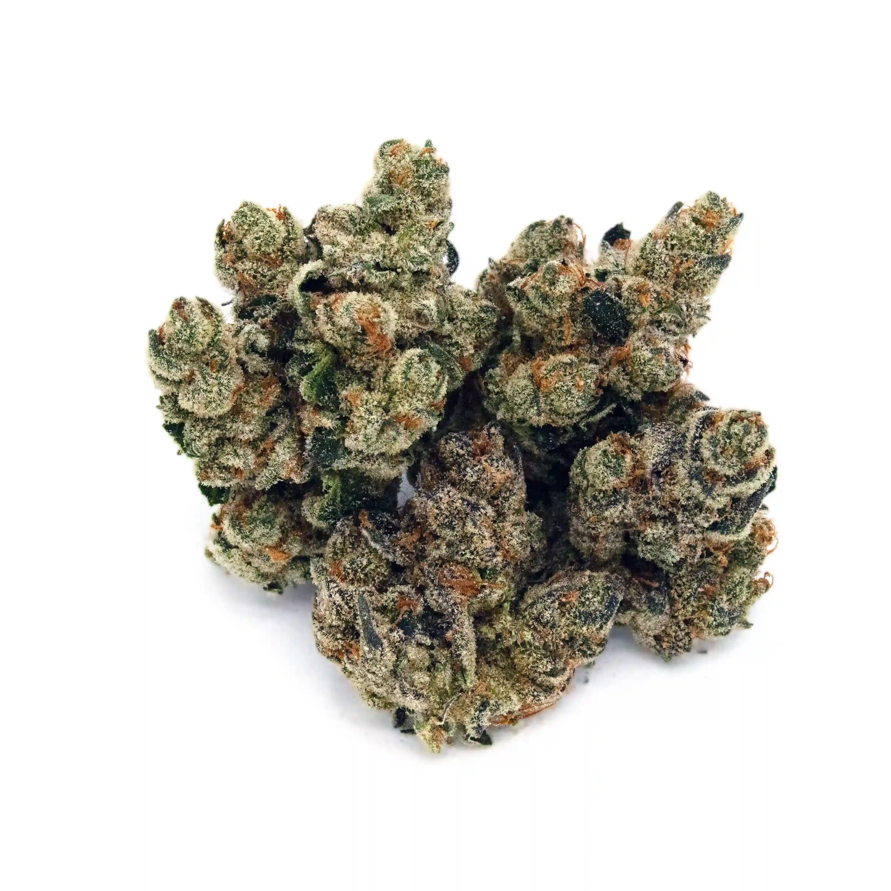 Apricot Jam | 1/8 oz.