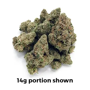 Forbidden Spice | Mini-Buds | 1/4 oz.