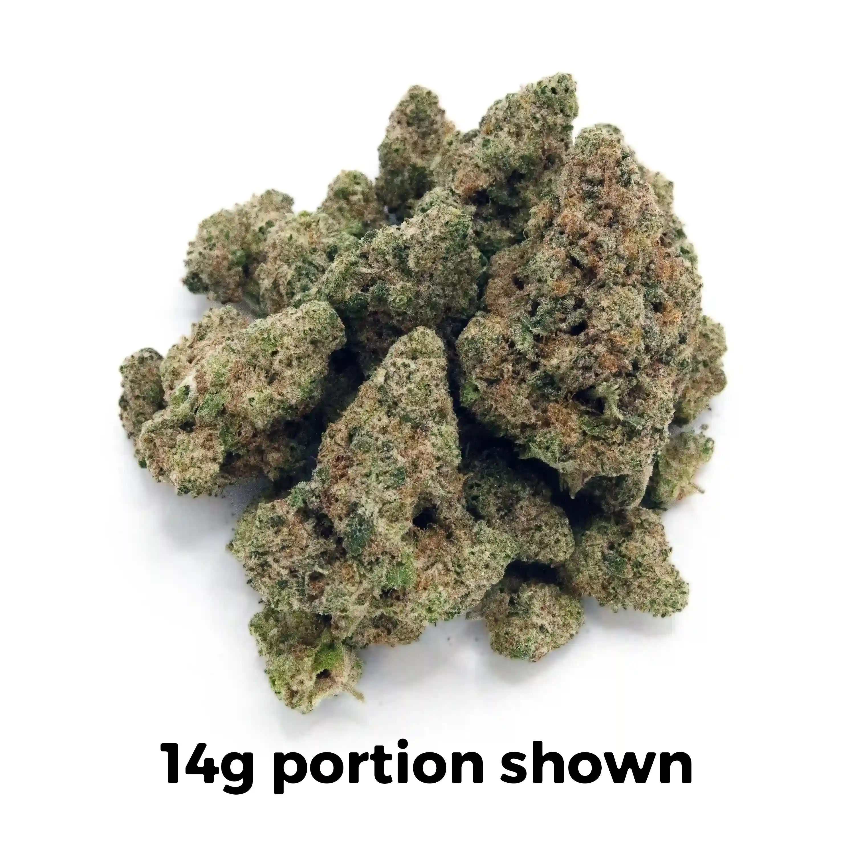 Forbidden Spice | Mini-Buds | 1/4 oz.