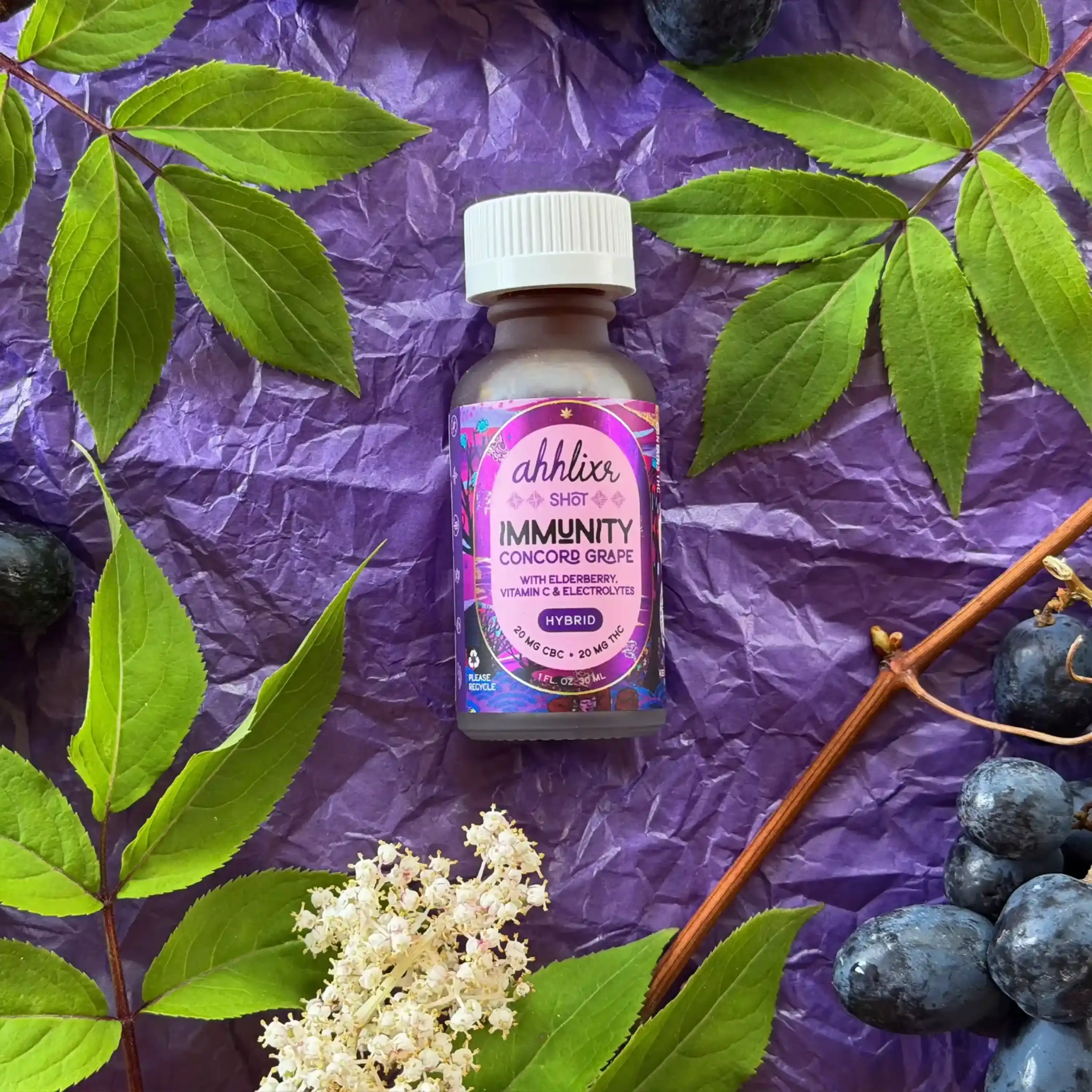 Concord Grape Immunity Shot | 1:1 | THC:CBC | 1oz.