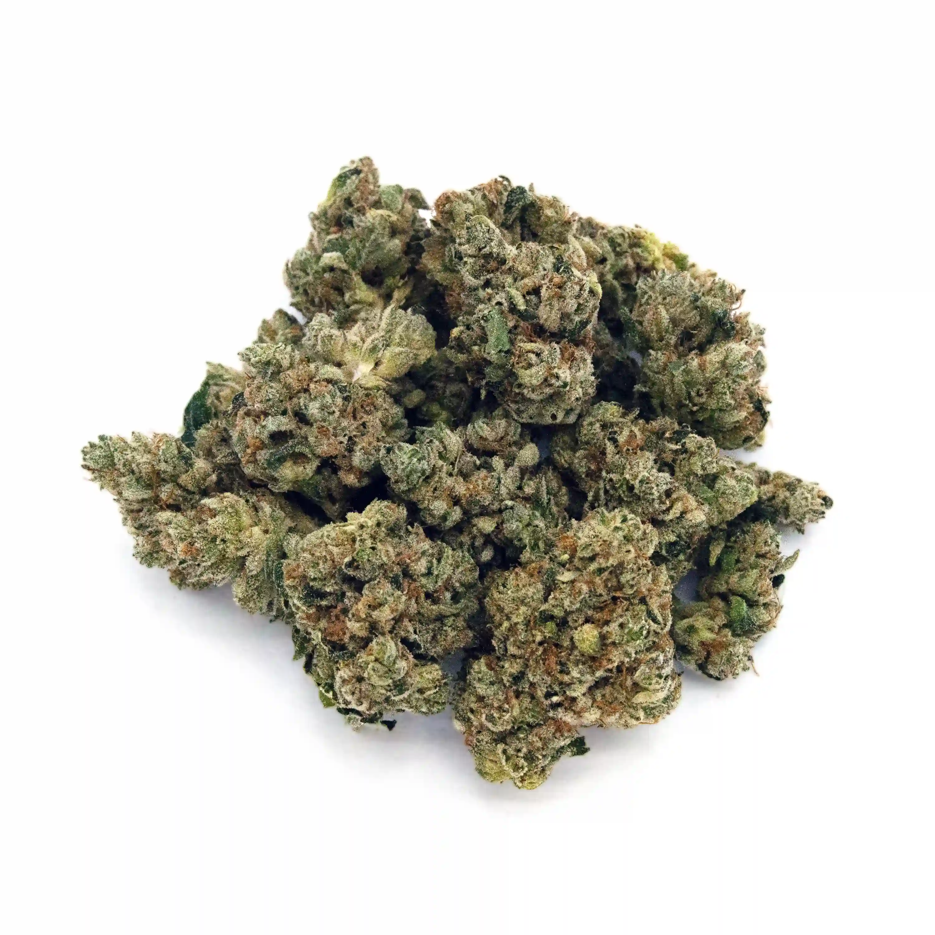 Wedding Cake F2 x Jungle Cake | Mini-Buds | 1/4 oz.