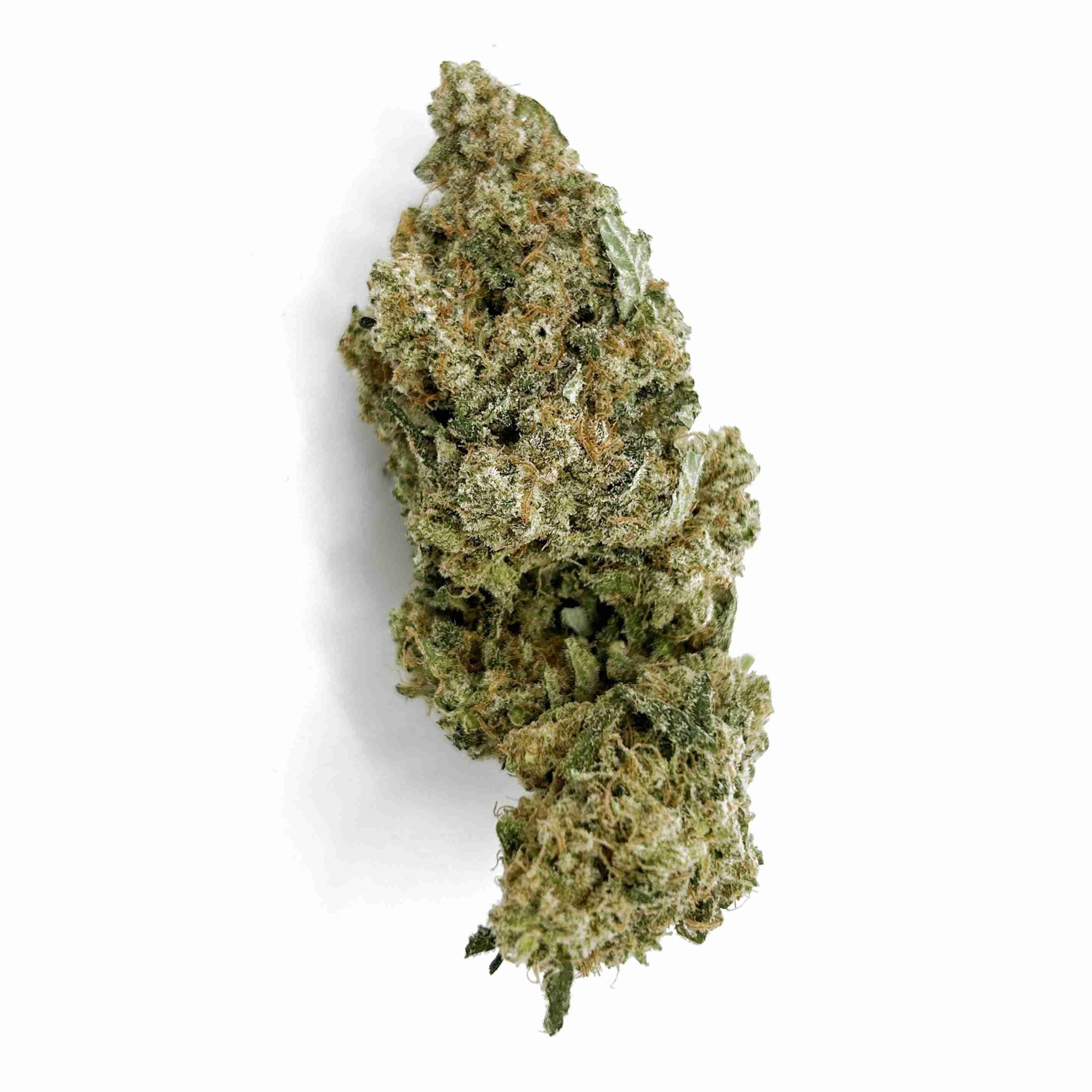 Mac and Cheese | 1/8 oz.
