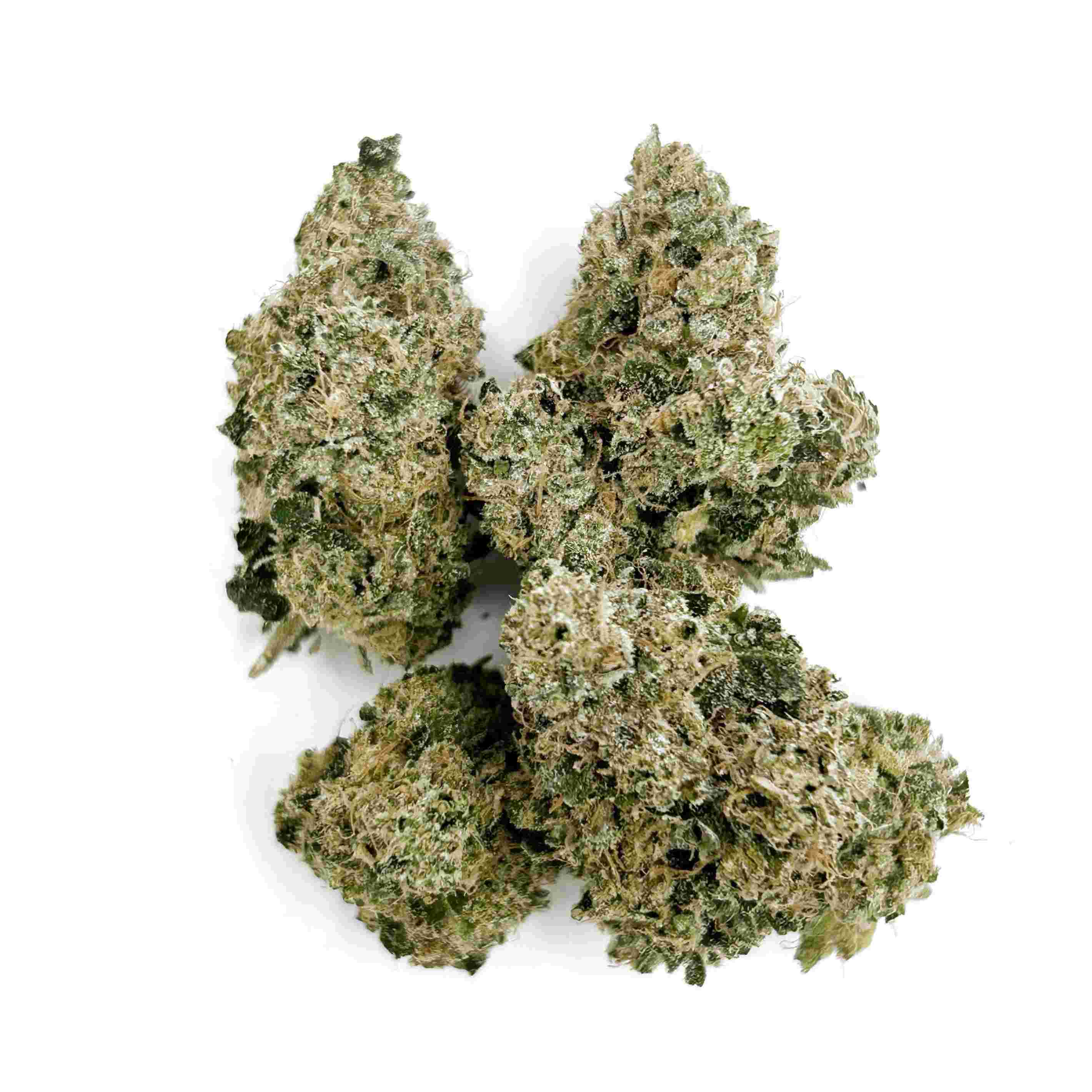 Maple Head | 1/8 oz.