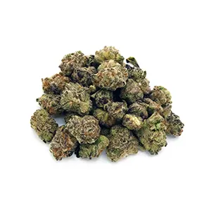 Modified Punch | Mini-Buds | 1/8 oz. | Therapy