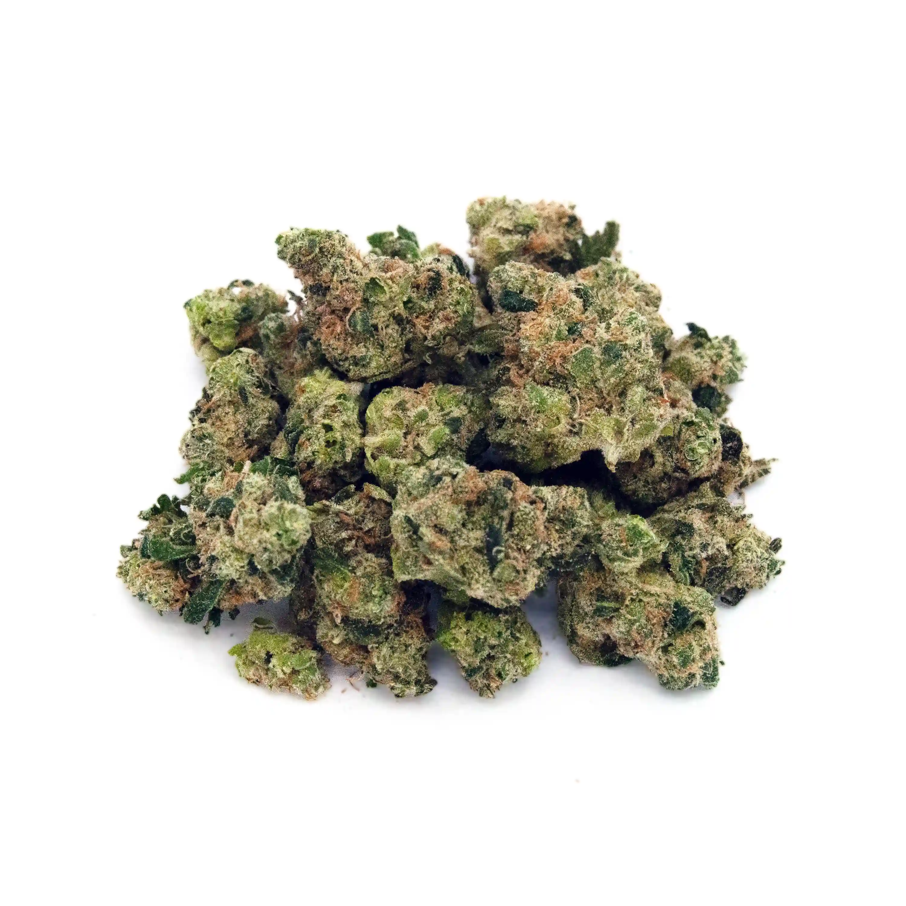 Bosscotti | Mini-Buds | 1/8 oz. | Therapy