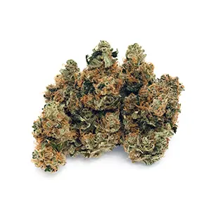 Pineapple Express | 1/8 oz.