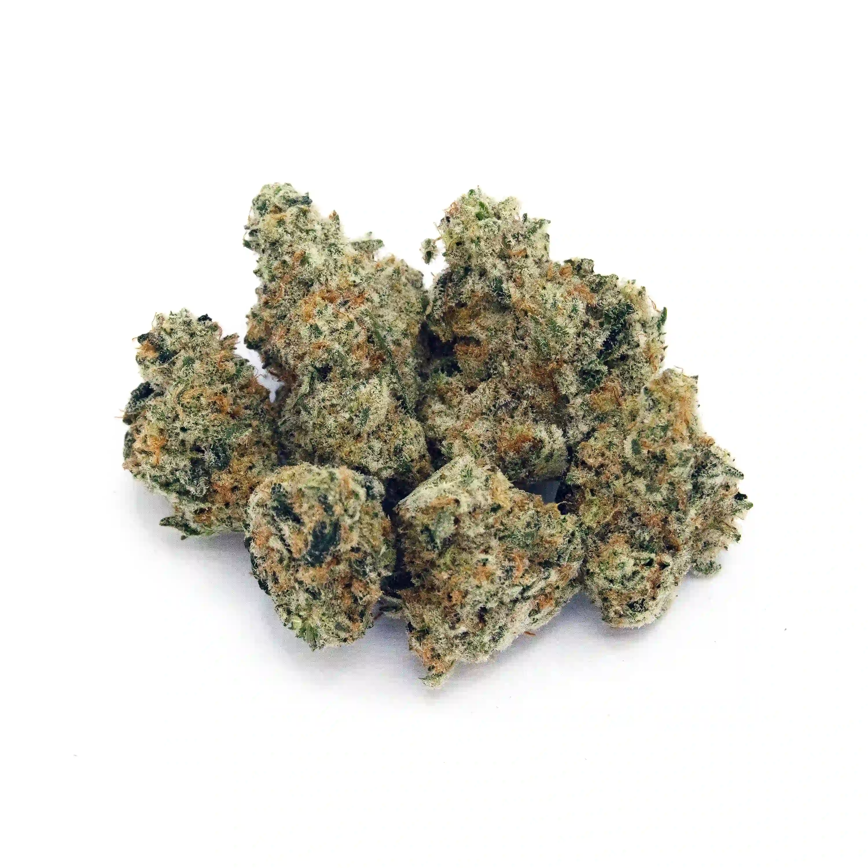 Motor Mintz | 1/8 oz.