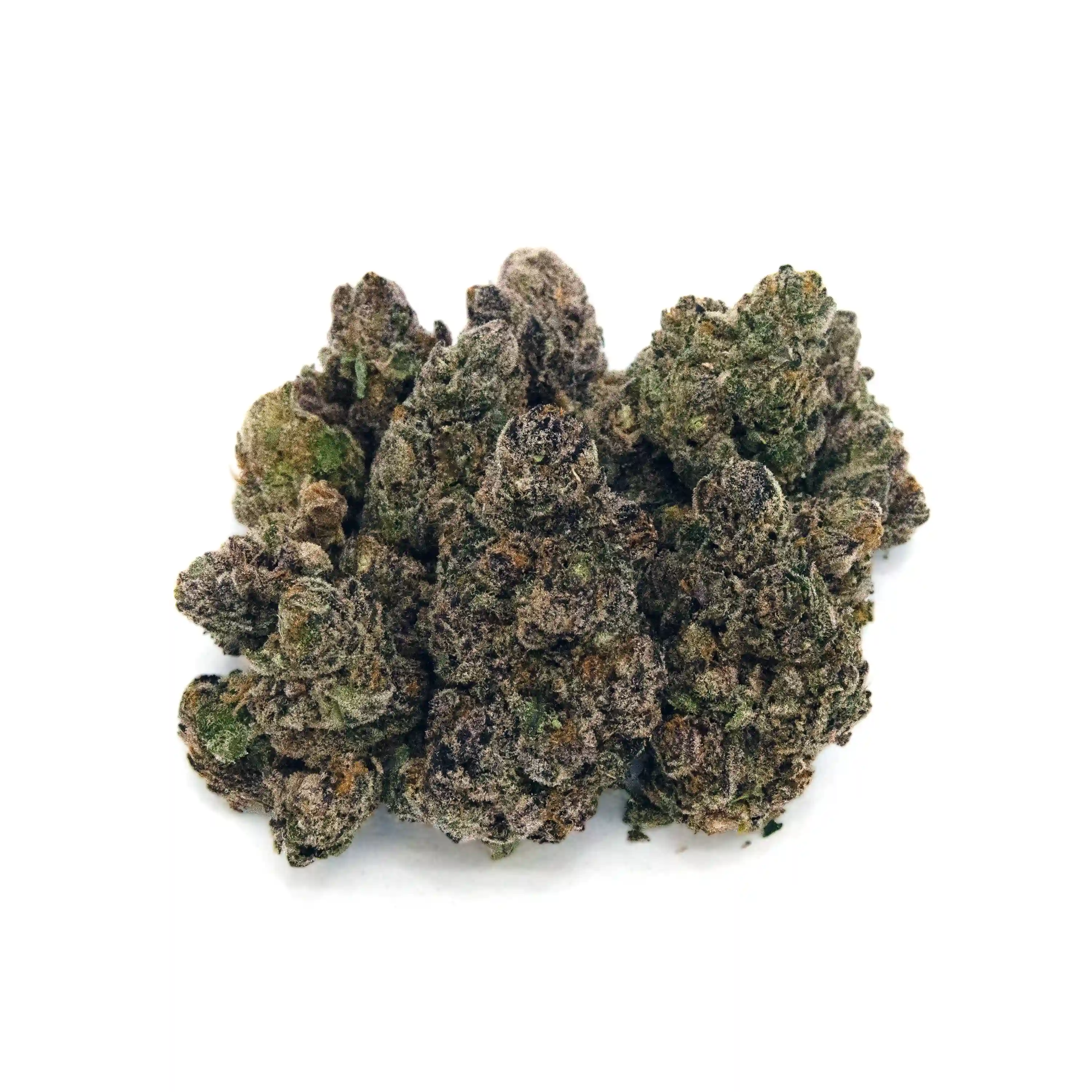 Jack's Dream | Mini-Buds | 1/4 oz.