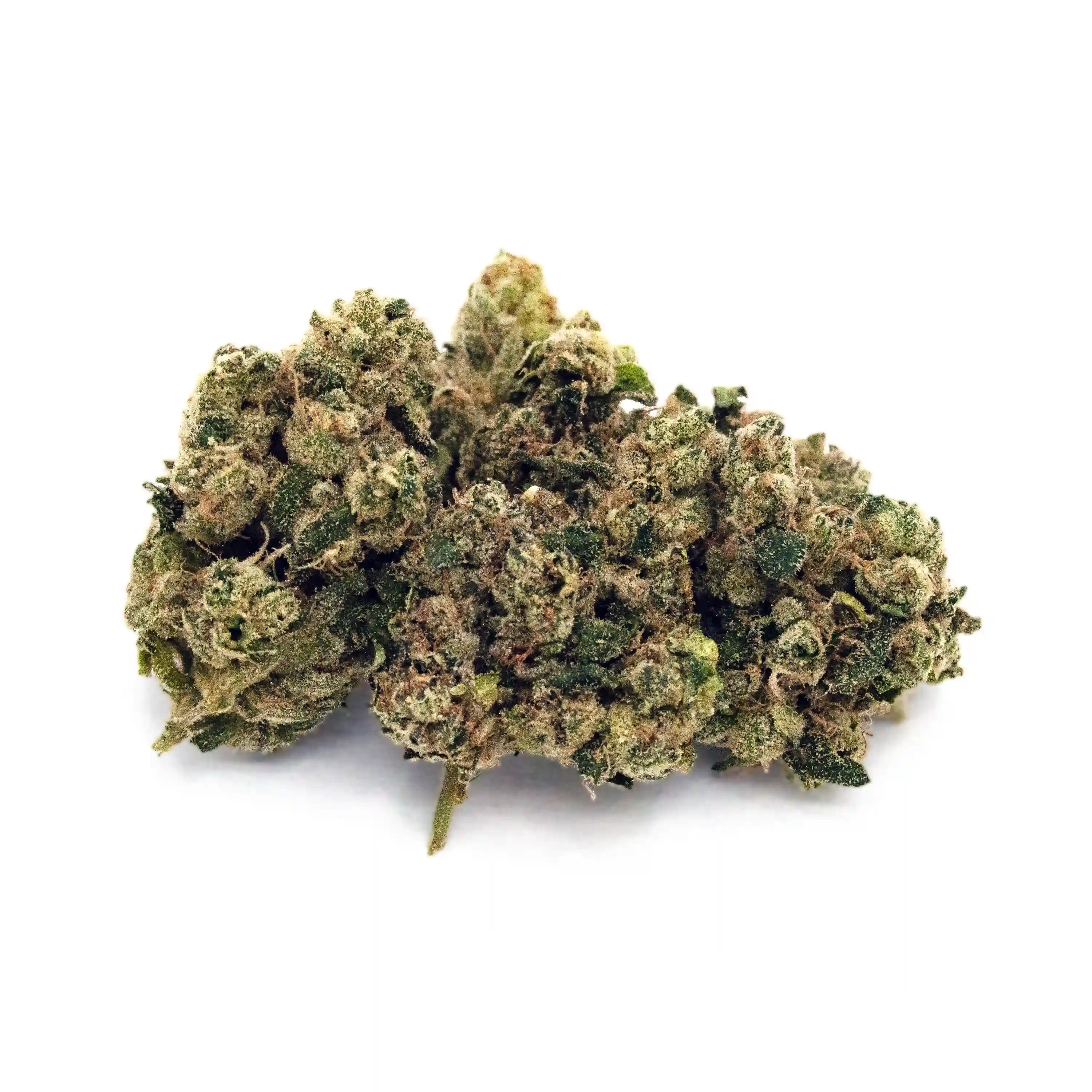 Runtz Banger | 1/8 oz.