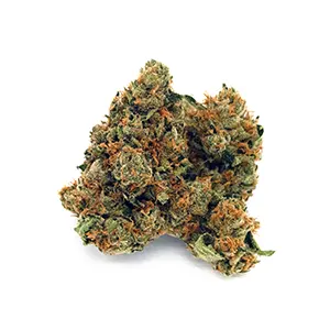 Texas Shoreline | 1/8 oz.