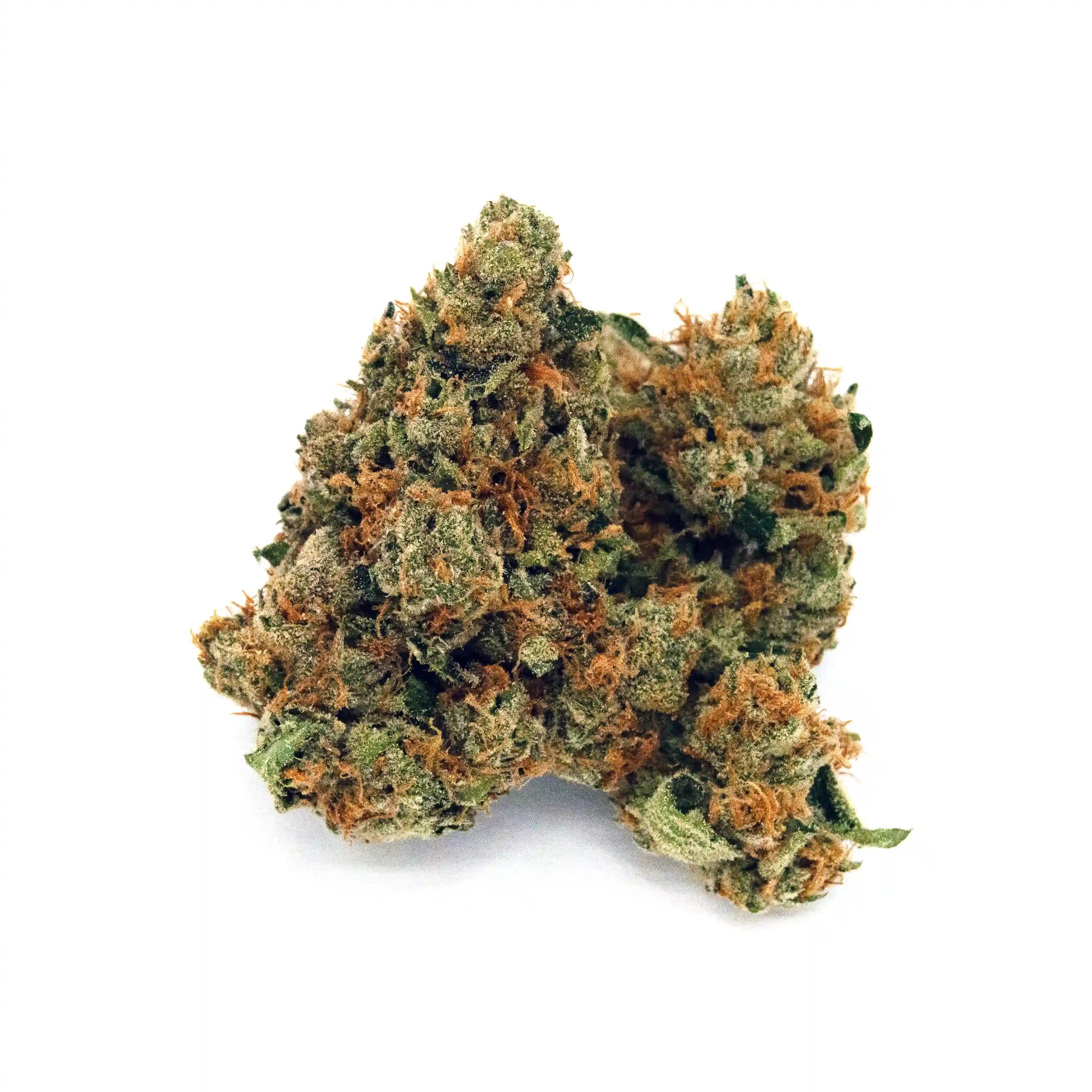 Texas Shoreline | 1/8 oz.