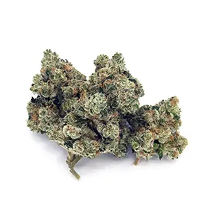 Strawberry Lobster | 1/8 oz.