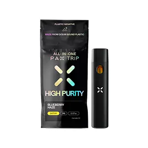 Blueberry Haze | All-In-One | 2g