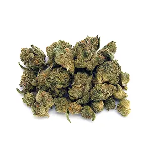 Creamsicle Runtz | Mini-Buds | 1/8 oz.